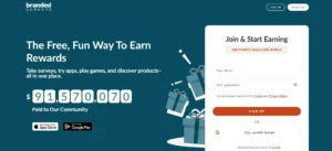 Branded Surveys
